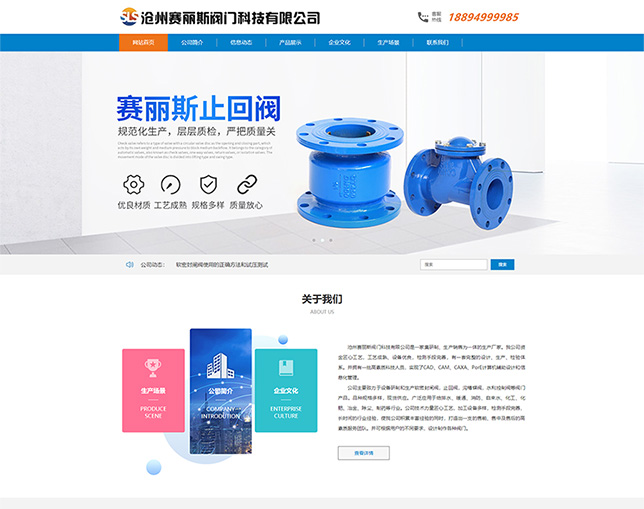 赛丽斯阀门